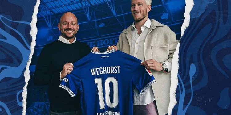 Wout Weghorst, Hoffenheim’da