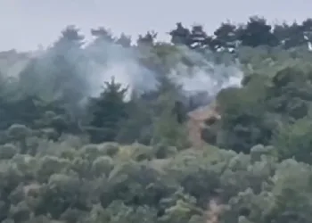Bursa’da makilik alanda çıkan yangın söndürüldü