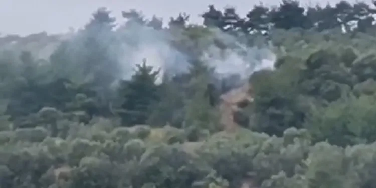 Bursa’da makilik alanda çıkan yangın söndürüldü