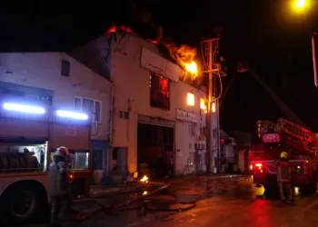 Bursa’da ahşap kapı fabrikası alev alev yandı