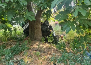 İzmir’de otomobil şarampole uçtu: 2 ölü