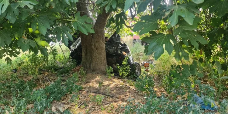 İzmir’de otomobil şarampole uçtu: 2 ölü