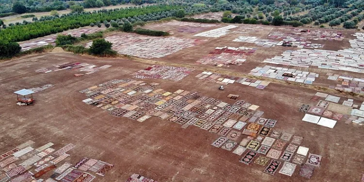 Tarlada milyonluk halı nöbeti