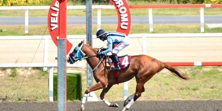 TSYD Koşusu’nda zafer Kapriz’in oldu