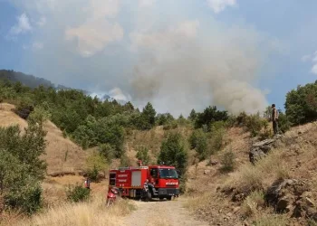 Çankırı’daki orman yangını kontrol altına alındı