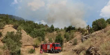 Çankırı’daki orman yangını kontrol altına alındı