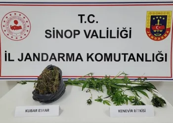 Sinop’ta uyuşturucu operasyonu