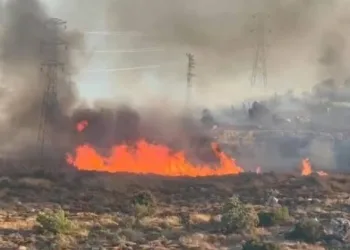 Bodrum Türkbükü’nde yangın