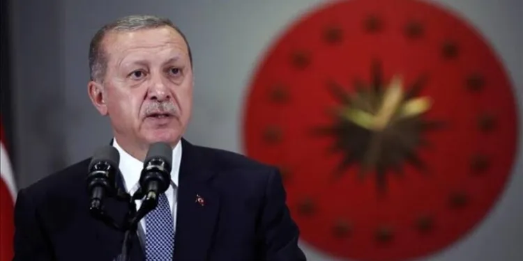 Erdoğan’dan düzensiz göçmen açıklaması