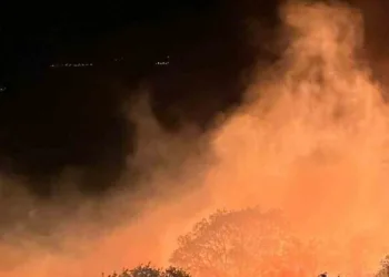 Balıkesir’in Marmara Adası’nda yangın