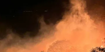 Balıkesir’in Marmara Adası’nda yangın