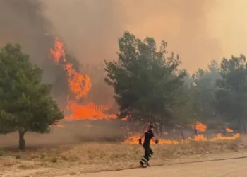 Çanakkale’de çıkan yangın devam ediyor