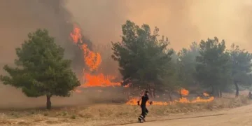 Çanakkale’de çıkan yangın devam ediyor