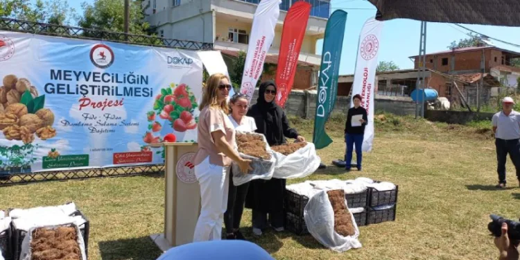 750 bin fide desteği