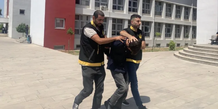 Ağaç villanın üzerine devrildi