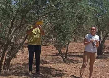“İlaçlama” çağrısı