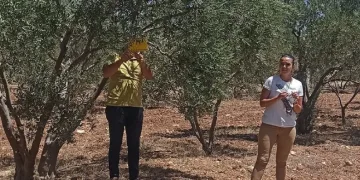 “İlaçlama” çağrısı