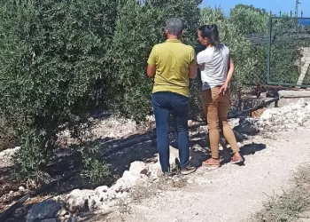 Altın Güvercin’de finalistler belli oldu