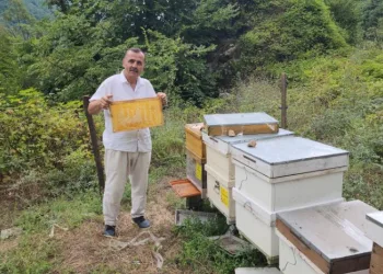 Petek üzerinde ‘Allah’ yazısı oluşturdu