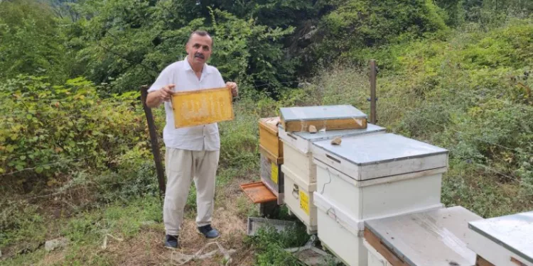 Petek üzerinde ‘Allah’ yazısı oluşturdu