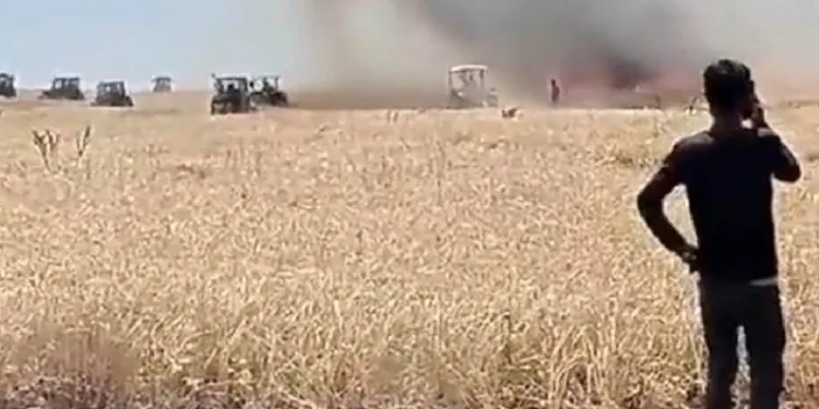 300 dönüm ekili alan yandı