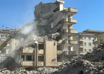 Veteriner hekimler şiddete sessiz kalmadı