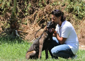 Nadir bulunan köpek barınaktan kaçtı