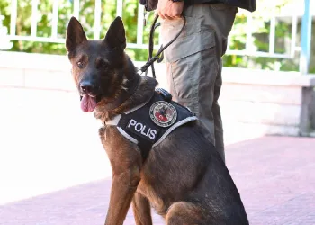 ‘Odin’ uyuşturucu tacirlerine göz açtırmıyor