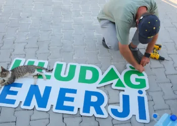 Uludağ Enerji, sokak hayvanlarını unutmadı