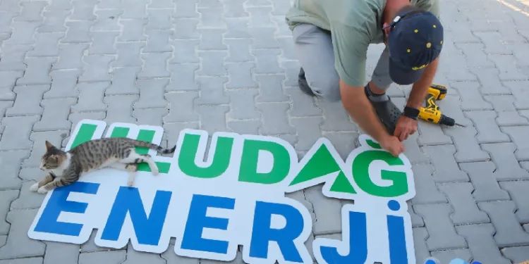 Uludağ Enerji, sokak hayvanlarını unutmadı