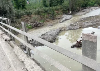 Köprünün demirlerini çaldılar