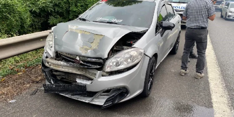 TEM’de zincirleme trafik kazası