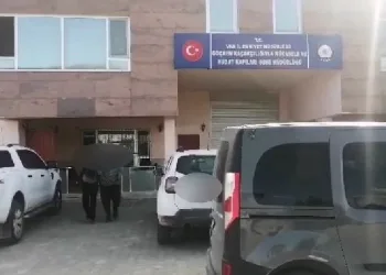 Van’da göçmen kaçakçılığı operasyonu