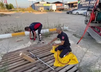Mazgallara sıkışan kedileri itfaiye kurtardı