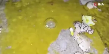 Yumurtalarla dairenin önünü çöplüğe çevirdiler