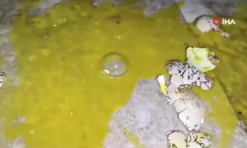 Yumurtalarla dairenin önünü çöplüğe çevirdiler
