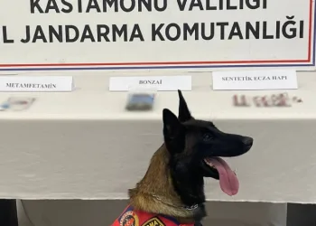 Uyuşturucu getirirken gözaltına alındılar