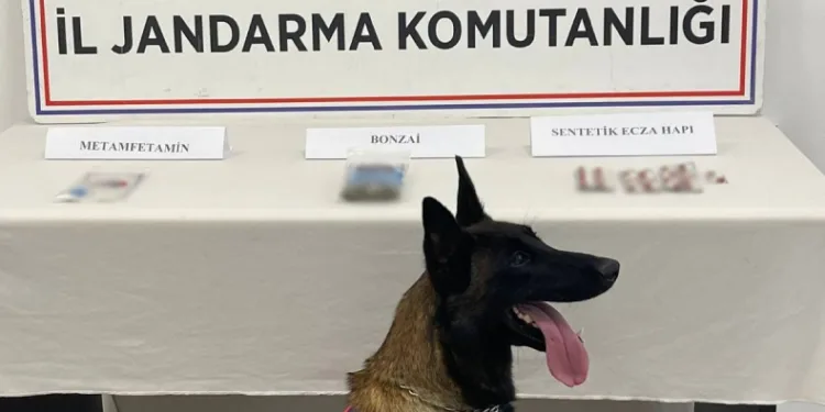 Uyuşturucu getirirken gözaltına alındılar