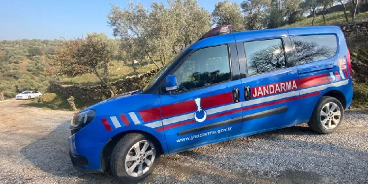 Zeytinyağı hırsızı jandarmadan kaçamadı