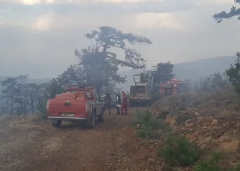 Orman yangını kontrol altına alındı