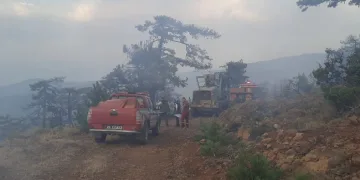 Orman yangını kontrol altına alındı