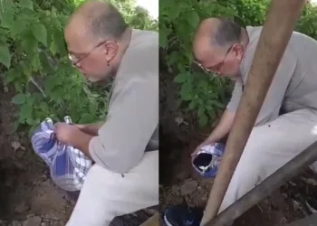 Esnaf kediyi defnetti