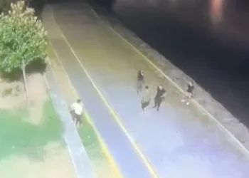 Kurşun bekçinin başını sıyırdı
