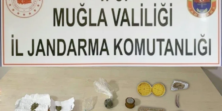 Muğla’da uyuşturucu operasyonu