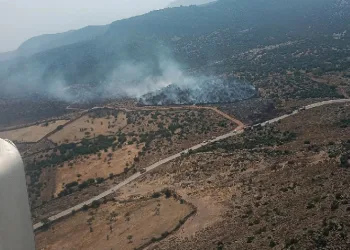 Aliağa’daki orman yangını kontrol altında