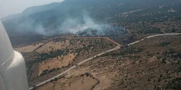 Aliağa’daki orman yangını kontrol altında