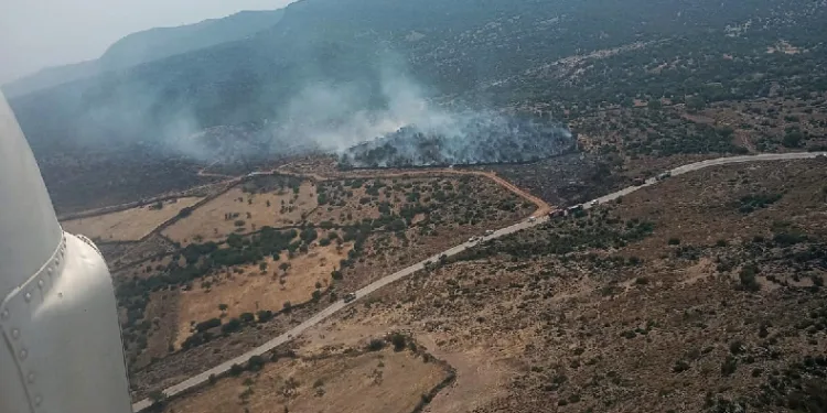 Aliağa’daki orman yangını kontrol altında
