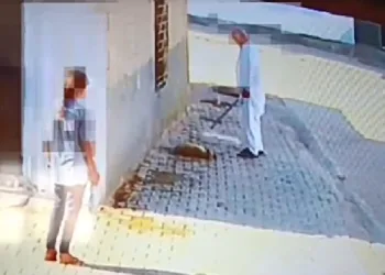 Bastonuyla köpeği öldüren şahsa gözaltı
