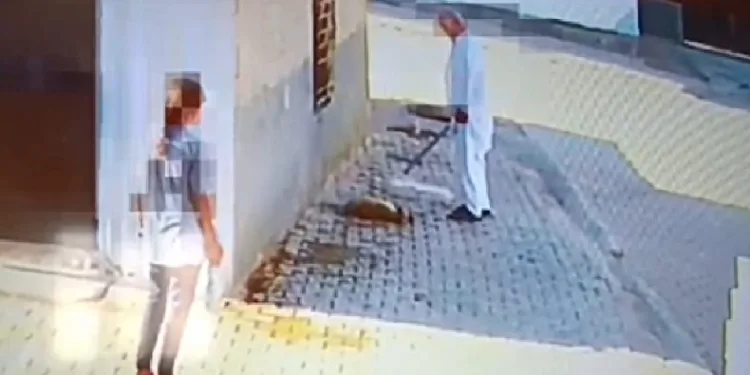 Bastonuyla köpeği öldüren şahsa gözaltı