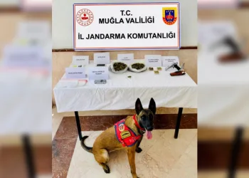 Bodrum’da uyuşturucu ve silah operasyonu
